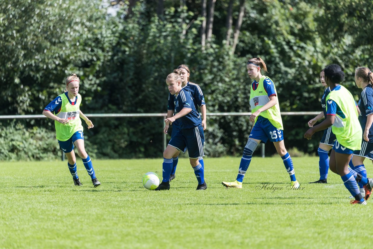 Bild 69 - B-Juniorinnen VfL Pinneberg - HSV : Ergebnis: 1:4